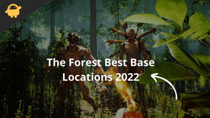Las mejores ubicaciones de base de The Forest 2022