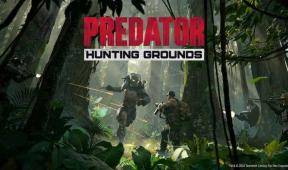 Predator: Hunting Grounds: Tek Oyunculu Hikayesi veya Kampanya modu var mı?