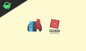 כיצד לשחק רובלוקס ב- Nintendo Switch?