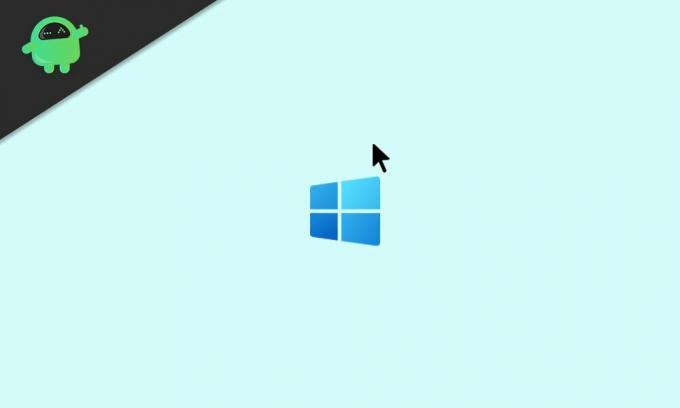 Επιδιόρθωση: Windows 10 κατεστραμμένο δρομέα ποντικιού