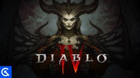 Onko olemassa Diablo 4 -konsolin komentoja ja huijauskoodeja?