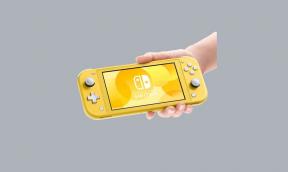 Støtter Nintendo Switch Lite flerspiller?