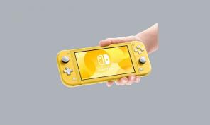 هل يدعم Nintendo Switch Lite اللعب الجماعي؟