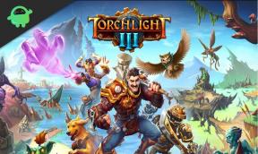 Oggetti Lifebound in Torchlight 3: Explained