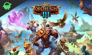 Predmeti, ki so vezani na življenje v Torchlight 3: Pojasnjeno