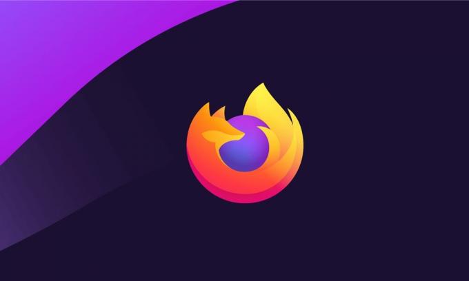 Kako popraviti PR CONNECT RESET ERROR na Mozilla Firefoxu