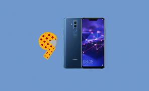 Unduh dan Pasang Pembaruan Pie Huawei Mate 20 Lite Android 9.0 [EMUI 9.0]