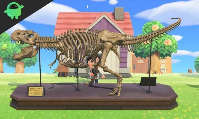 Volledige lijst van alle fossielen met prijzen en hoe ze te krijgen: Animal Crossing