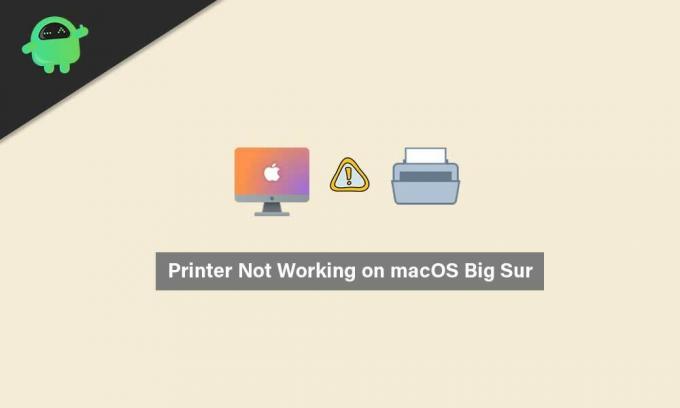 Oprava: Tiskárna nefunguje na macOS Big Sur