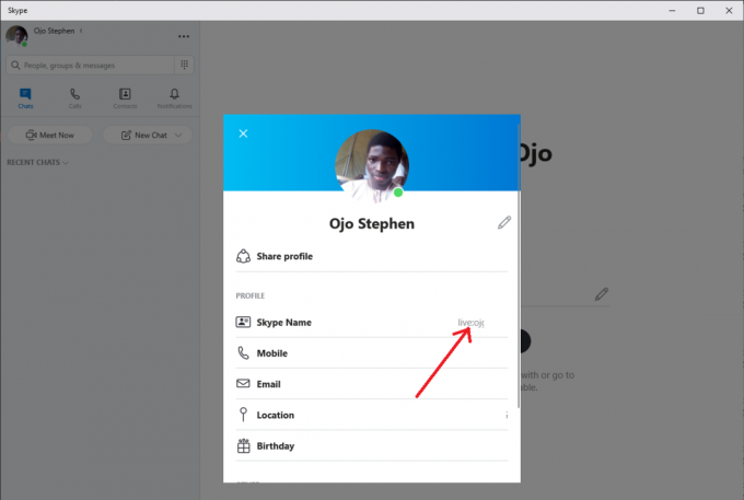 profil radne površine programa Skype