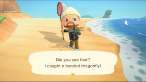 Animal Crossing: New Horizons May Bug and Fish List