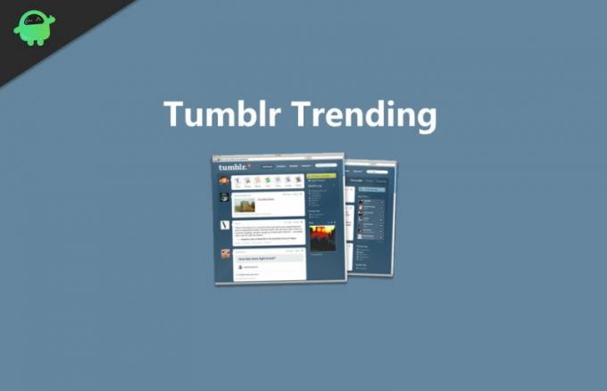 Kako preveriti, kaj je v trendu na Tumblr