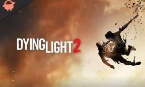 Dying Light 2 stiger inte, hur åtgärdar jag?