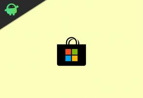Cómo deshabilitar las actualizaciones automáticas de Microsoft Store en Windows 10