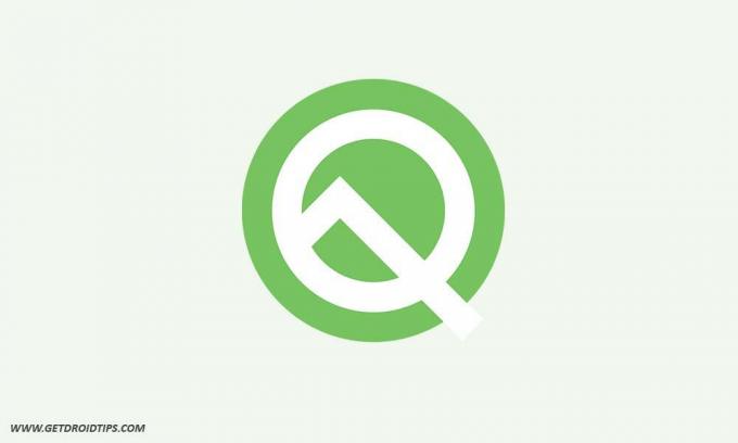 Android Q eerste voorbeeld voor ontwikkelaars