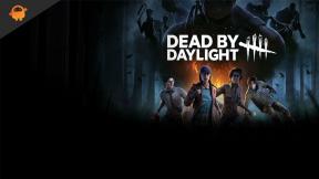Correction: Dead By Daylight, le jeu s'est mal initialisé