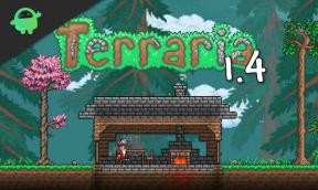 Wie bekomme ich das Leerengewölbe und die Leerenbeutel in Terraria 1.4?