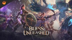 Ar palaikomas „Bless Unleased Cross-Platform/Cross-Play“?
