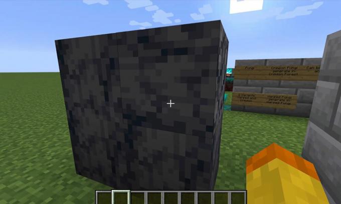 Minecraft Basalt: dove puoi trovare il basalto in Minecraft 1.16?
