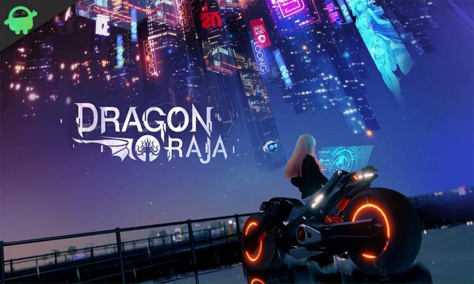 Коды Dragon Raja (январь 2021 г.)