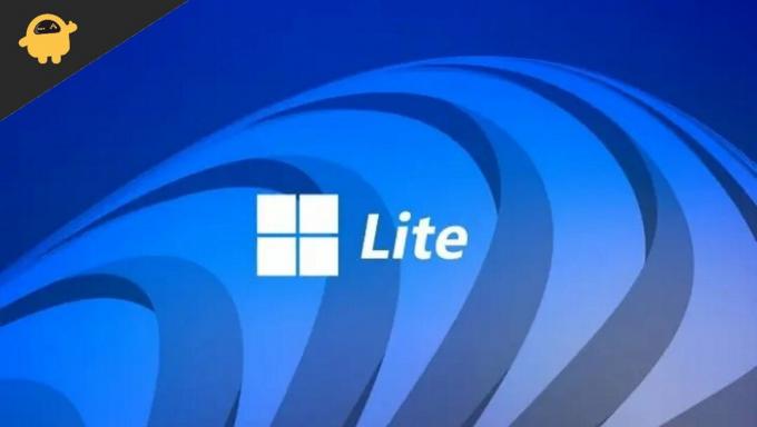 Cómo instalar Windows 11 Lite en su PC