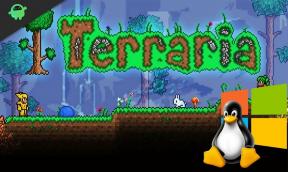 Hvordan spille Terraria på Linux