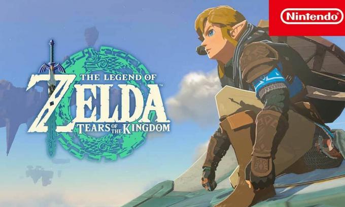 Исправлено: проблема заикания и зависания Legend of Zelda Tears of the Kingdom в Switch