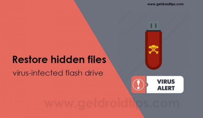 Hoe u verborgen bestanden op een met een virus geïnfecteerde flashdrive kunt herstellen