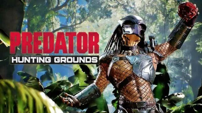 Werkt cross-playing in Predator: Hunting Grounds?