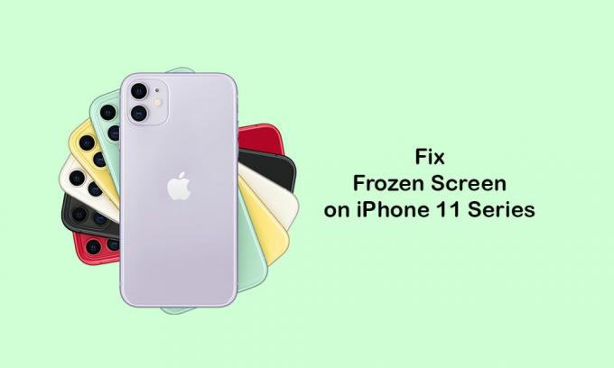 So beheben Sie das Problem mit eingefrorenem Bildschirm auf dem iPhone 11/11 Pro / 11 Pro max