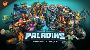 Fix: Paladins startet nicht oder lädt nicht auf dem PC