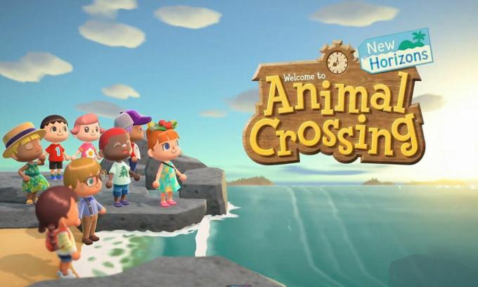 Chybový kód Animal Crossing New Horizons 2219-2502: Existuje oprava?