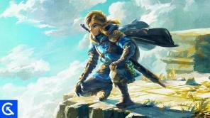Zelda Tears of the Kingdom Panduan Semua Side Quests