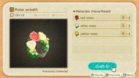 Animal Crossing New Horizons: Cara Menghias Dengan Bunga