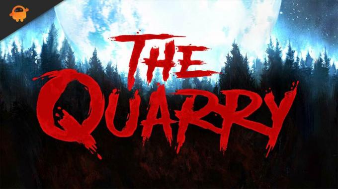 Διόρθωση: Το Quarry δεν θα ξεκινήσει ή δεν θα φορτωθεί στον υπολογιστή