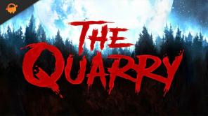 تم: The Quarry Keep Crashing عند بدء التشغيل على جهاز الكمبيوتر