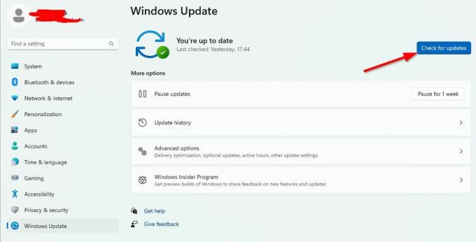 Actualización de WindowsWindows 11