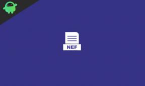 Шта су НЕФ датотеке? Како отворити НЕФ датотеке у оперативном систему Виндовс 10?