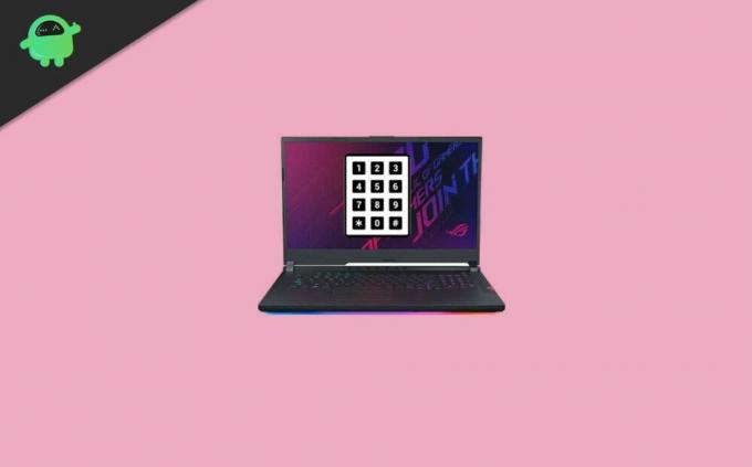 Fix ASUS ROG Laptop-Nummernblock hat Treiberproblem