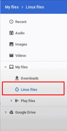 linux dosyaları windows 10