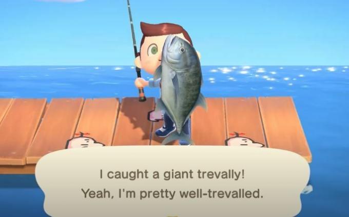 Pridobite Giant Trevally v Animal Crossing New Horizons