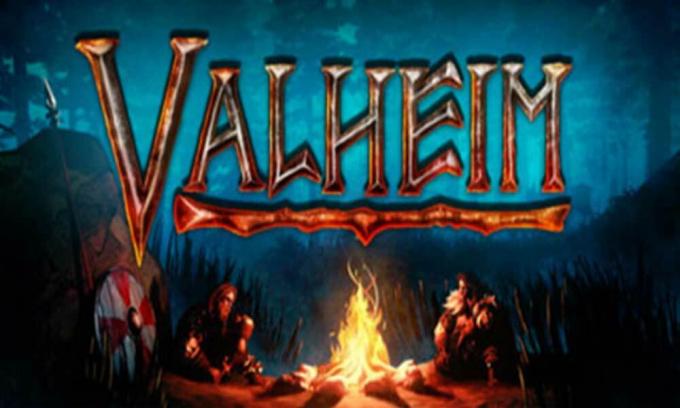Correction: les commandes de la console Valheim ne fonctionnent pas