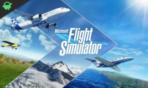 Ar „Microsoft Flight Simulator 2020“ palaikoma „Mac“?