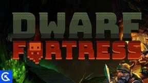 Dwarf Fortress لن يتم تشغيله أو عدم تحميله على جهاز الكمبيوتر ، كيف يتم الإصلاح؟