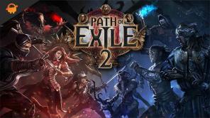 Erscheinungsdatum von Path of Exile 2: PC, PS4, PS5, Xbox, Switch