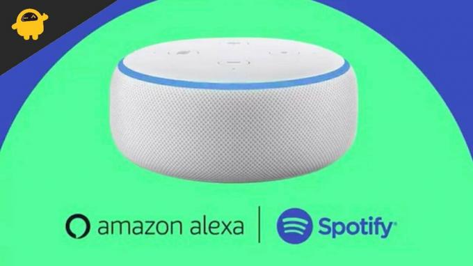 Cómo arreglar que Alexa no juegue Spotify