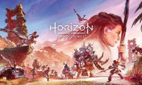 هل تمتلك Horizon Forbidden West تعاونية متعددة اللاعبين؟