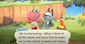 Comment obtenir Raymond et Audie dans Animal Crossing: New Horizons