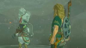 Zelda Tears of the Kingdom Tulin a disparu lors de la réparation du temple du vent