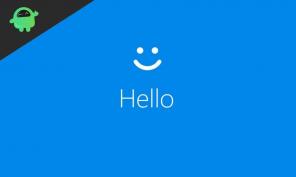 Sådan repareres Windows Hello Hello-fingeraftryk, der ikke fungerer i Windows 10